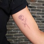 קעקוע קווים - פרח ורד על היד