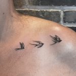 קעקוע קווים - ציפורים על הכתף